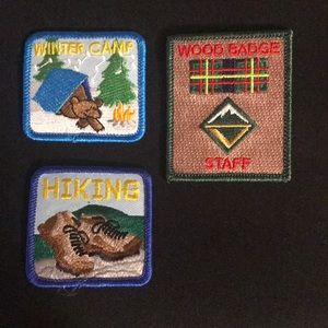 Various Scouting Achievement Patches